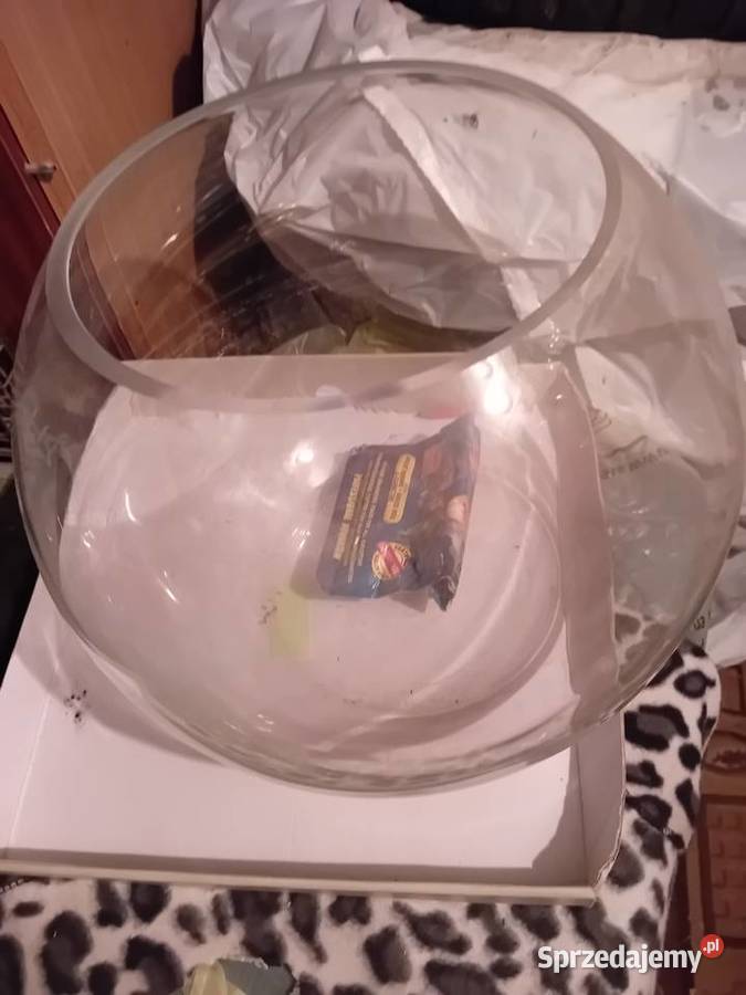 AKWARIUM K U L A warmińsko-mazurskie Nidzica