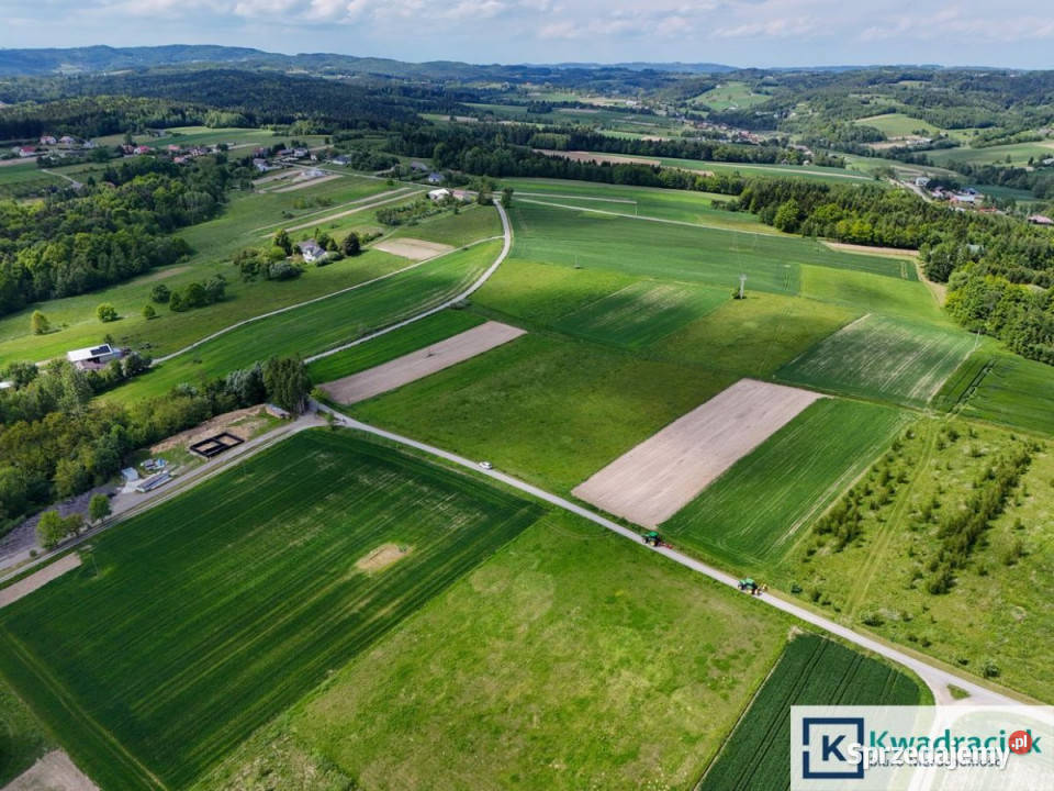 sprzedaży działki 10500m2 Czermna