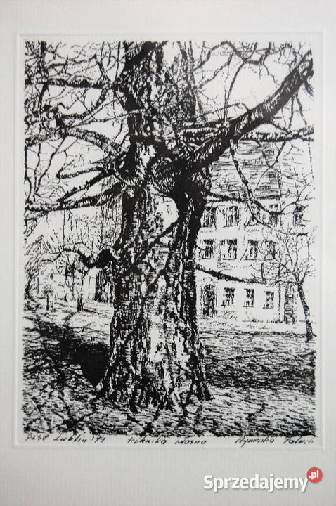 Drzewo grafika czarnobiała Agnieszka Paluch 1994 Lublin