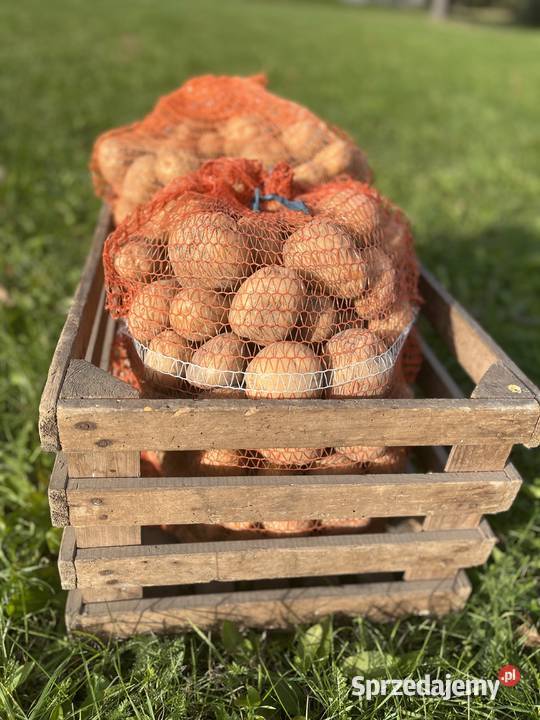 Sprzedam Pyszne Ziemniaki Bryza Drużbice