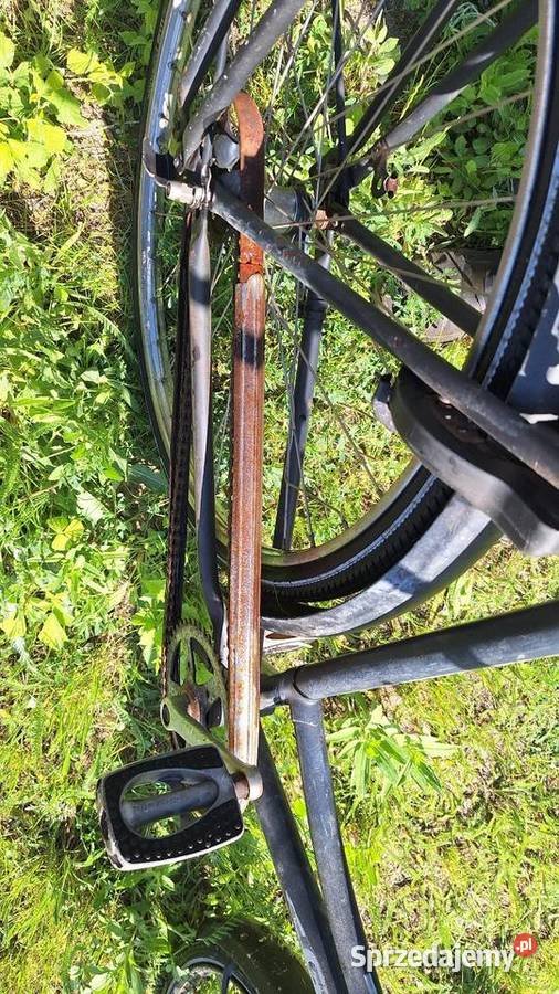 Rower retro Gazelle Koninkluge dieren Konin