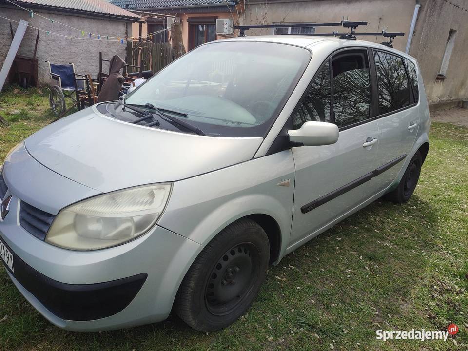 Scenic 2 2004r 15dci kod lakieru nv472 wszystkie kupiony w Polsce Kamieniec