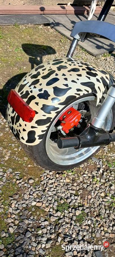 Hulajnoga elektryczna bili coco Pojazdy elektryczne małopolskie Jerzmanowice