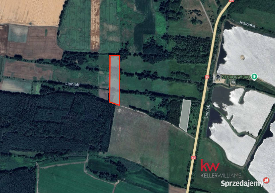 Sprzedam działka 13900m2 Kuźniczysko