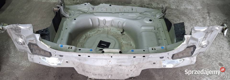 Wanna pas tył Citron cactus EZRC 14r Wola Jachowa