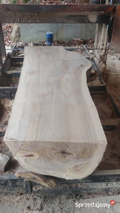 Plastry talary krążki drewna Pieńki na stolik