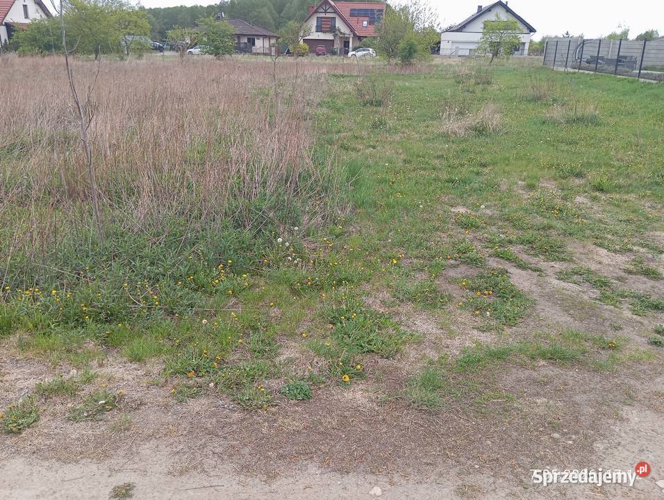 Działka budowlana Czarnowo