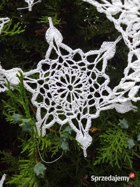 Gwiazdki śnieżynki Bydgoszcz