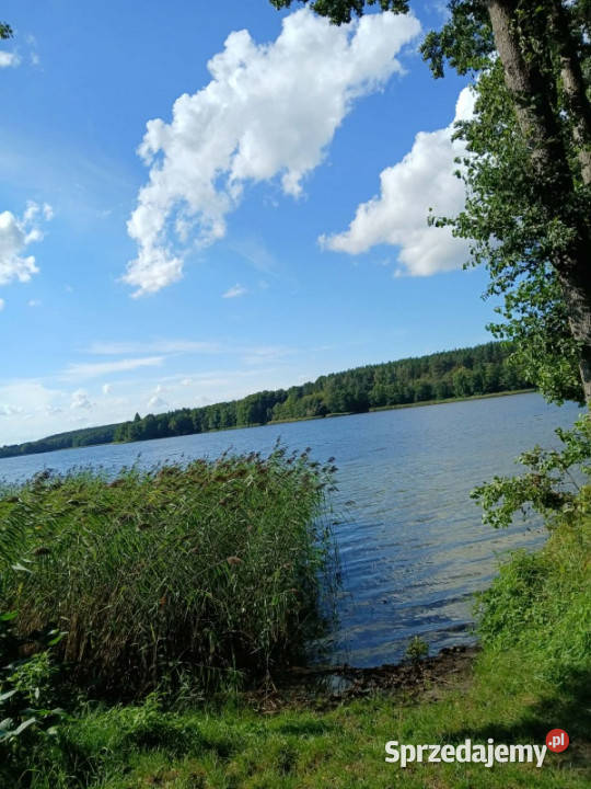 Sprzedam działkę budowlaną Sprzedaż wielkopolskie Wymysłowo