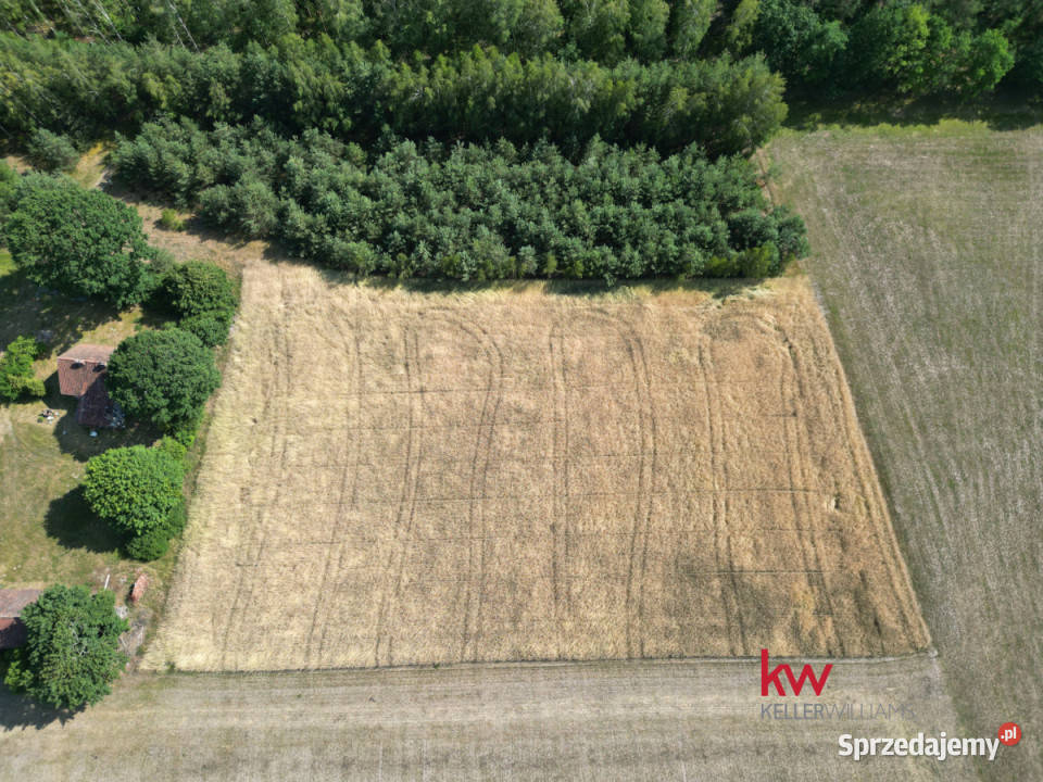 Grunt Jerominy 3702m2