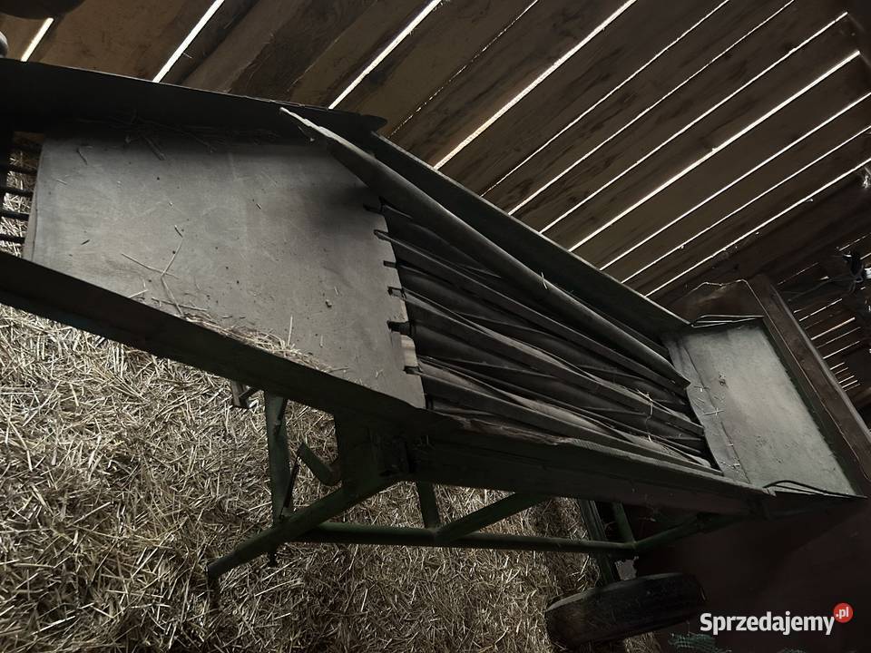 Obieraczka do cebuli Pieczonogi