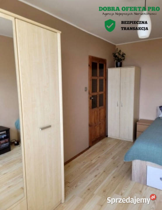 ielony azyl w Gdańsku widok na las pomorskie Gdańsk