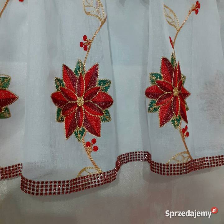 Zazdroski 2 sztuki gwiazda betlejemska Mława sprzedam