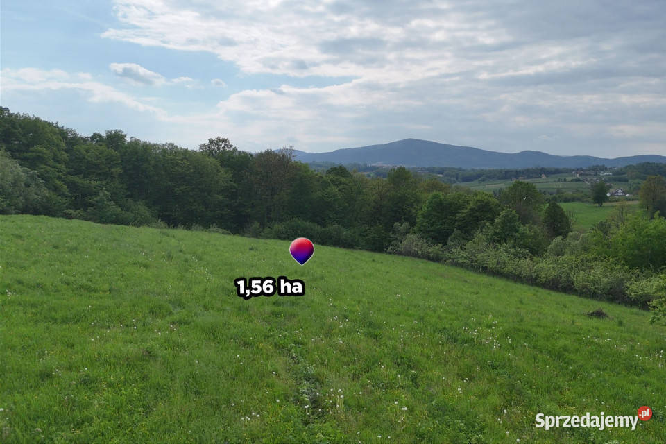 Działka rolnoleśna 156 ha Sadek Jodłownik 12zł/m2 małopolskie sprzedam