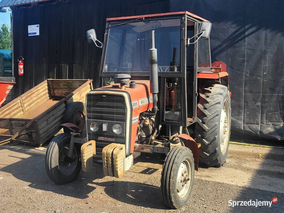 Massey Ferguson 255 warmińsko-mazurskie Gronowo Elbląskie