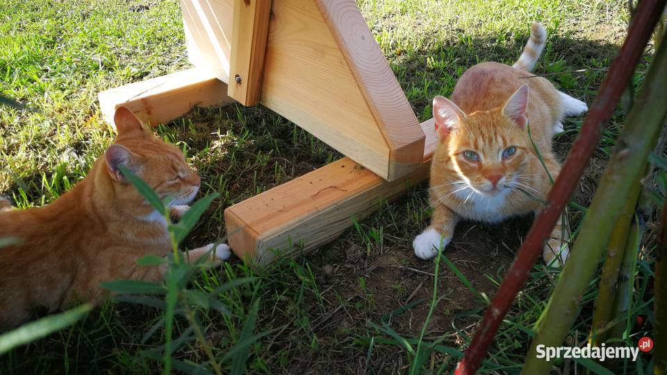 Ławka drewniana ławka ogrodowa