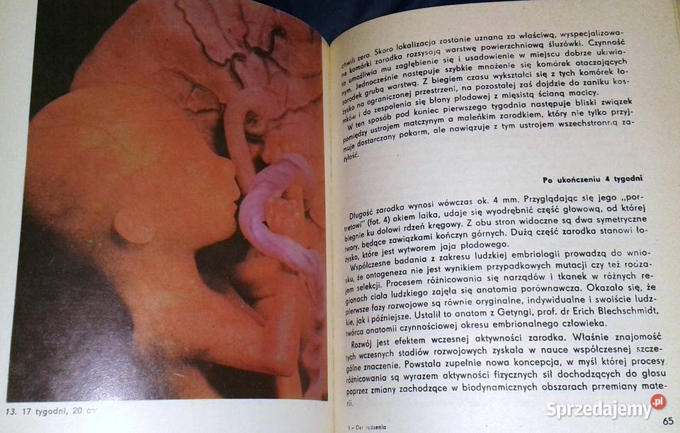 Dar rodzenia Włodzimierz Fijałkowski Chełm