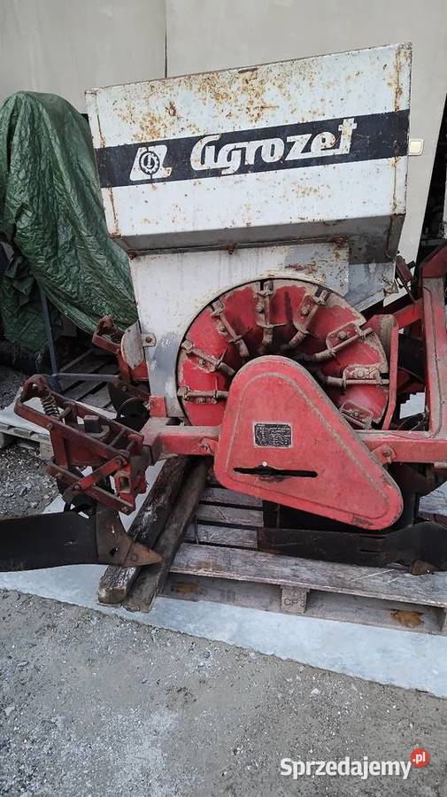 Sadzarka czeska Miechów