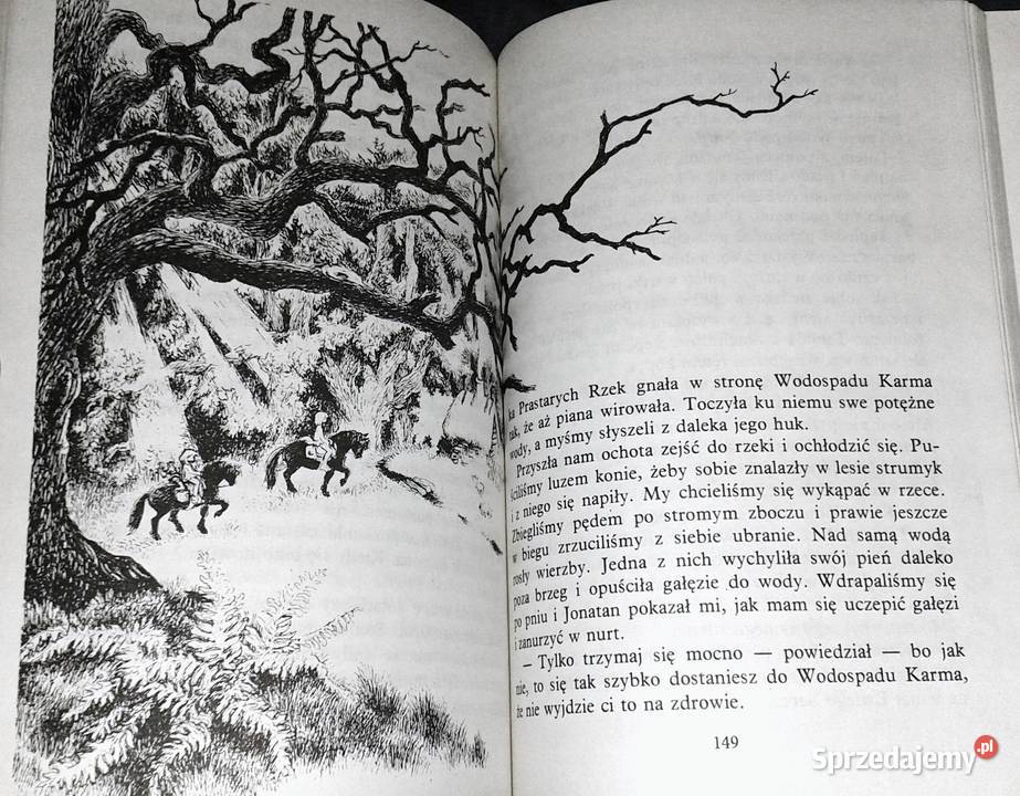 Bracia Lwie Serce Astrid Lindgren Pozostałe lubelskie Chełm