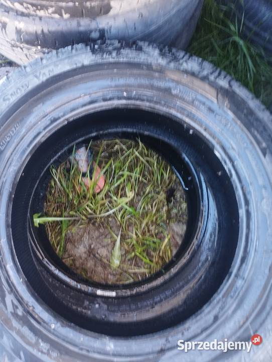 sprzedam opony 16c Brzozowa