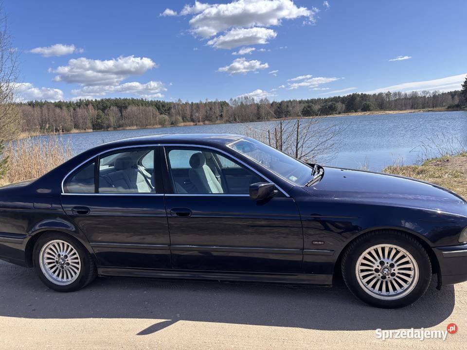BMW Seria 5 E39 523i Klasyk z nowym LPG i pewną Chojnów