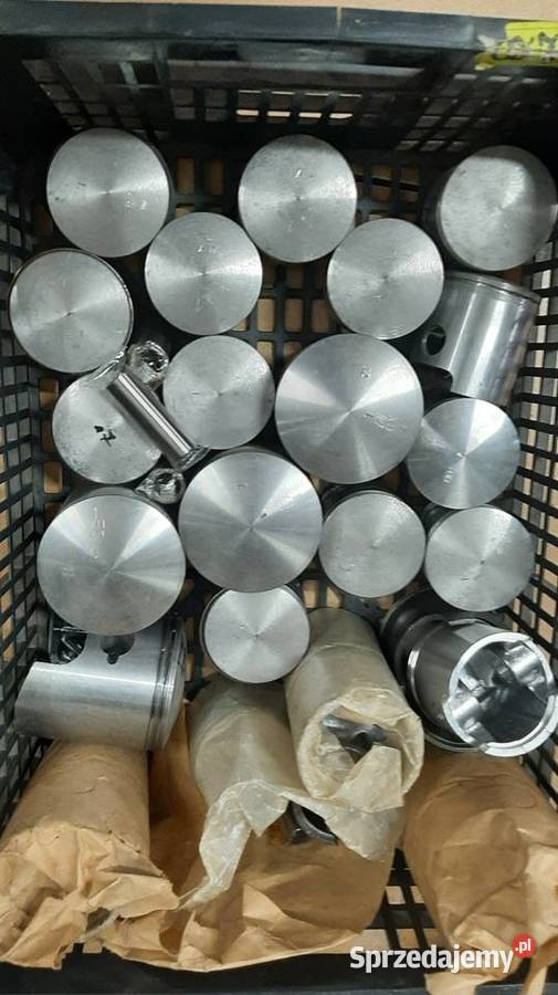 cz cross cz motocross cz 125 cz 250 cz 380