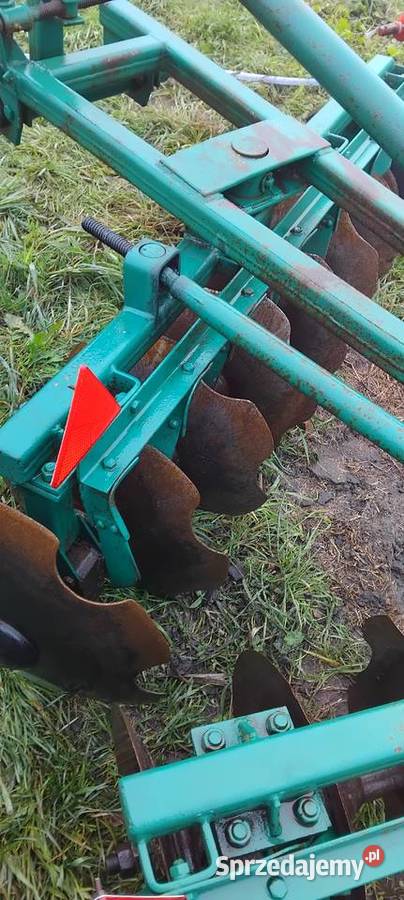 Talerzówka Łęczyca