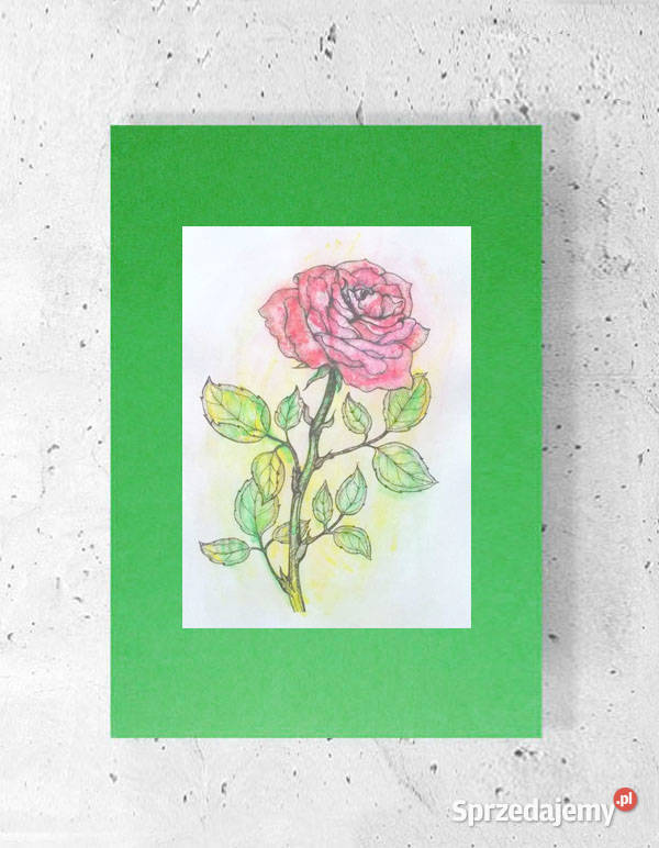 plakat z różą róża grafika na ścianę retro obraz odcienie zieleni Dekoracje i ozdoby