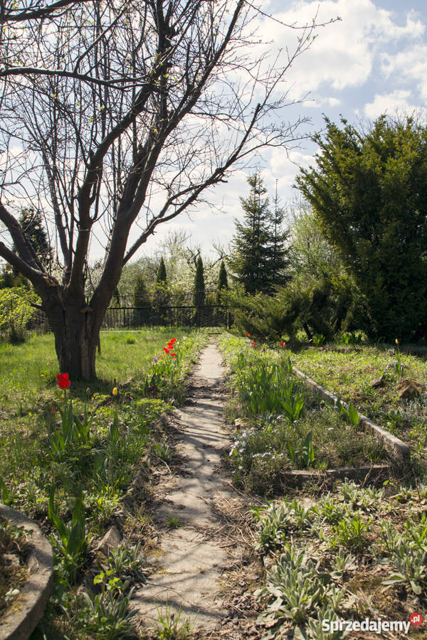 Ogródek działkowy Będzin niedaleko M1 Będzin