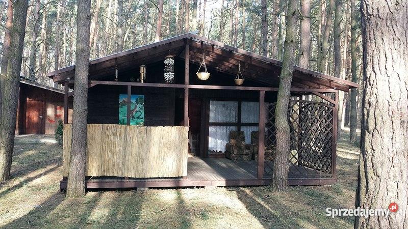 domek letniskowy w Ślesinie 56m2 Domy