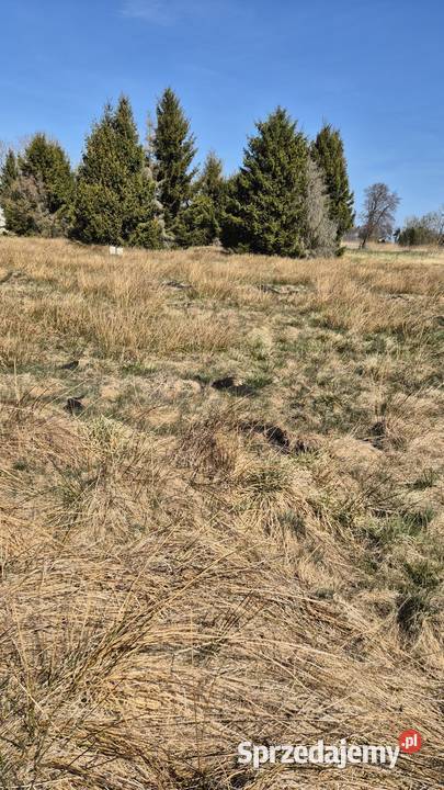 Działka morzem 600 m do plaży Karwińskie Błota pomorskie Karwieńskie Błoto Drugie sprzedam