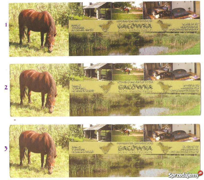 ZAKŁADKA DO KSIĄŻEK ALPY KASZUBSKIE Lębork