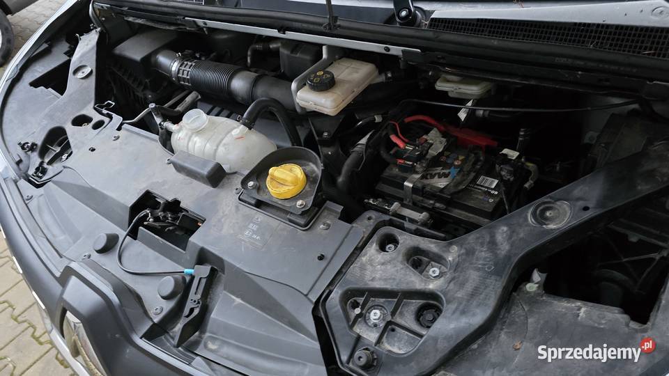 Renault Trafic 20 Blue dCi 2023r Nowy Świętów
