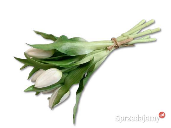 Tulipany silikonowe białe realistyczny wygląd 27 Golkowice