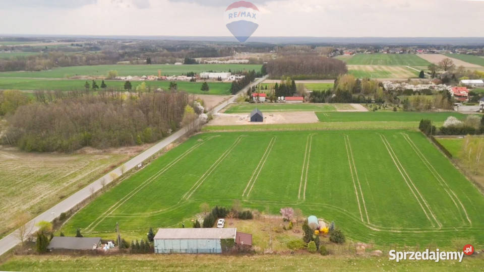 Działka 1550 m Miszewko Strzałkowskie 10510