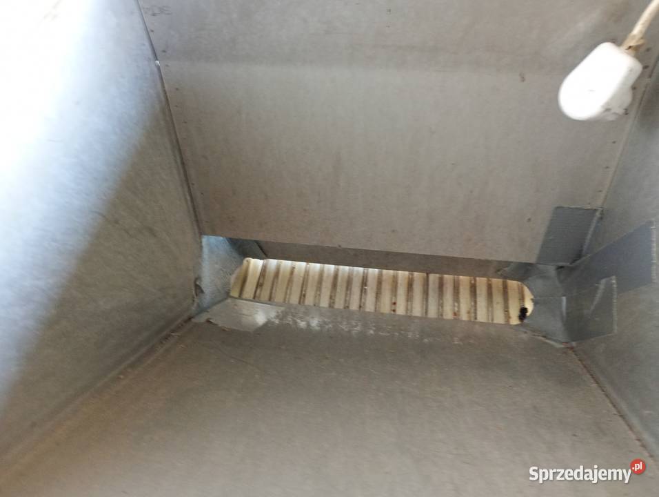 Sortownik do borówki Zwoleń