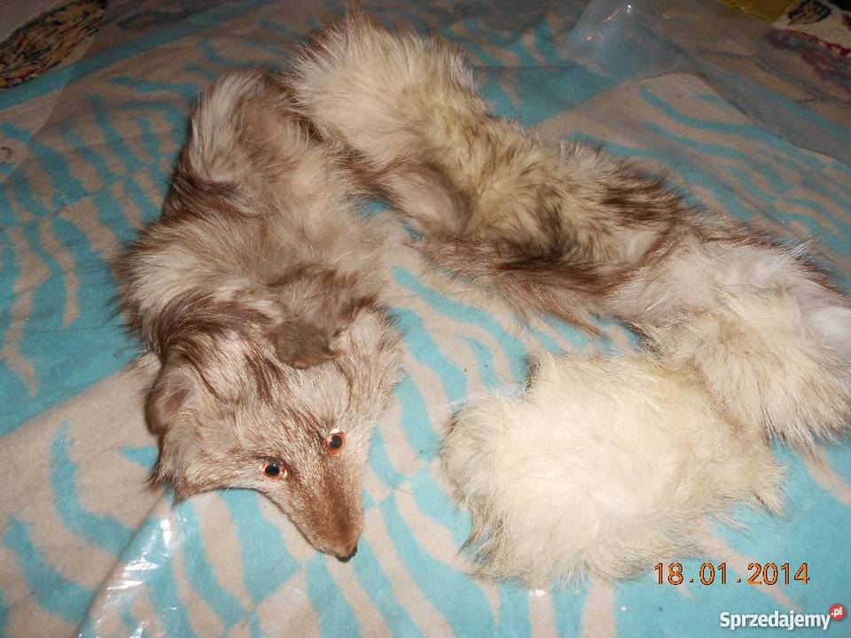 Szal z lisa pełnego nowy Ostrołęka