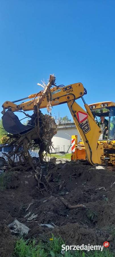 Wycinka przycinka drzew Podnosnik koszowy Rębak małopolskie Skawina prace ogrodowe