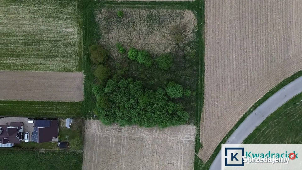 Działka 1538m2 Krosno Wspólna