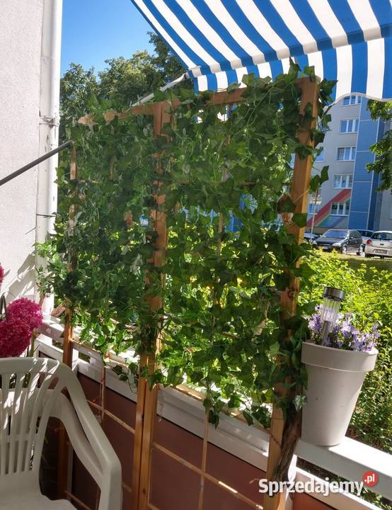 Sztuczny bluszcz 50 m na ścianę balkon taras