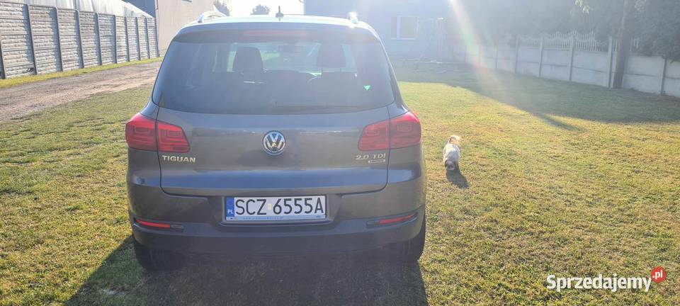 VW TIGUAN 20 TDI 4 MOTION DSG 7 Stopniowy Tiguan Częstochowa