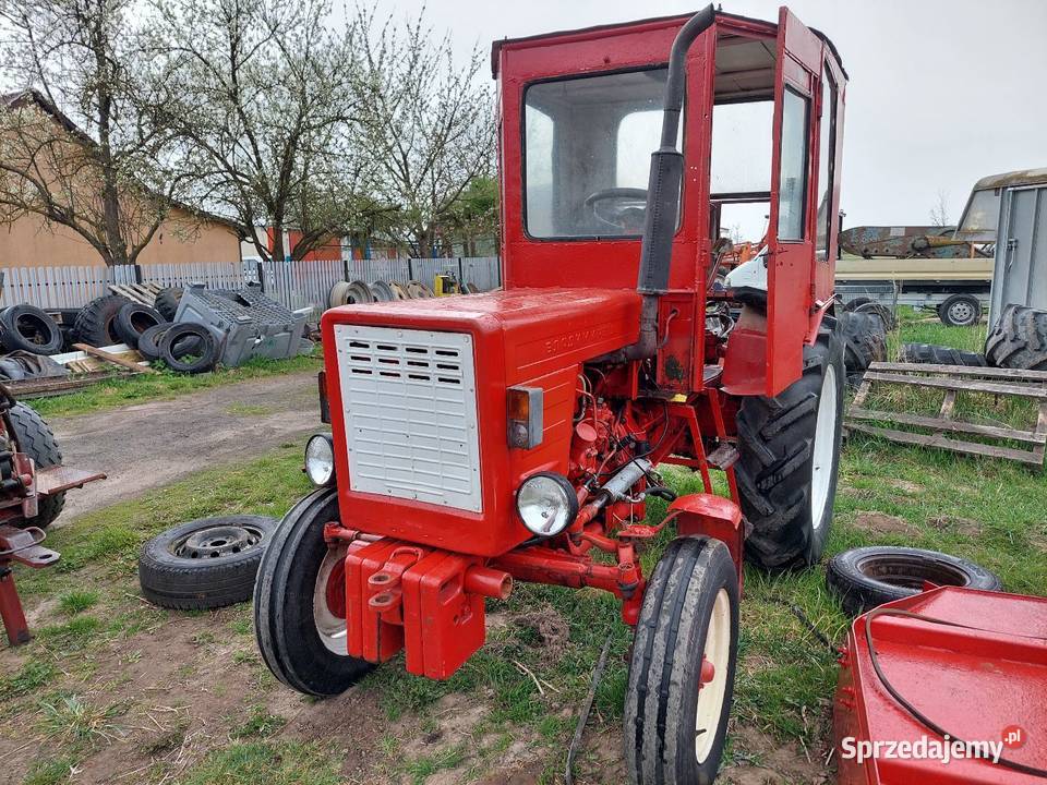 Władymirjec T25A Rusek mazowieckie Jawor Solecki