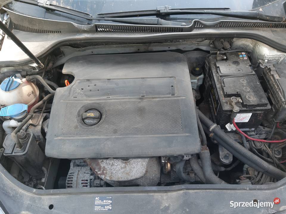 Golf V generacji wielkopolskie Węglewo