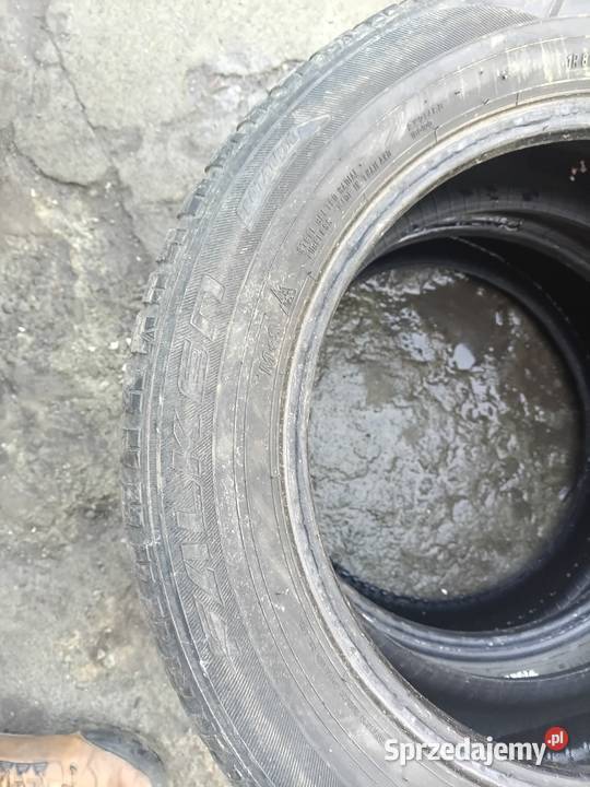 2x 1956016 falken eurowinter 60