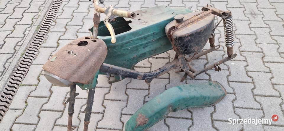 Sprzedam Jawkę wielkopolskie Zbąszyń