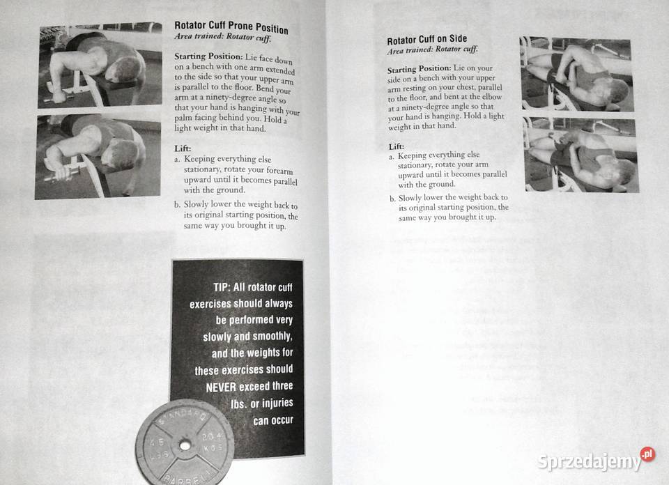 The Ultimate Guide to Weight Training for Boxing