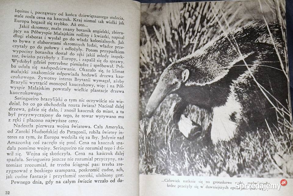 Zdobywamy Amazonkę Arkady Fiedler Rok wydania 1949 Chełm