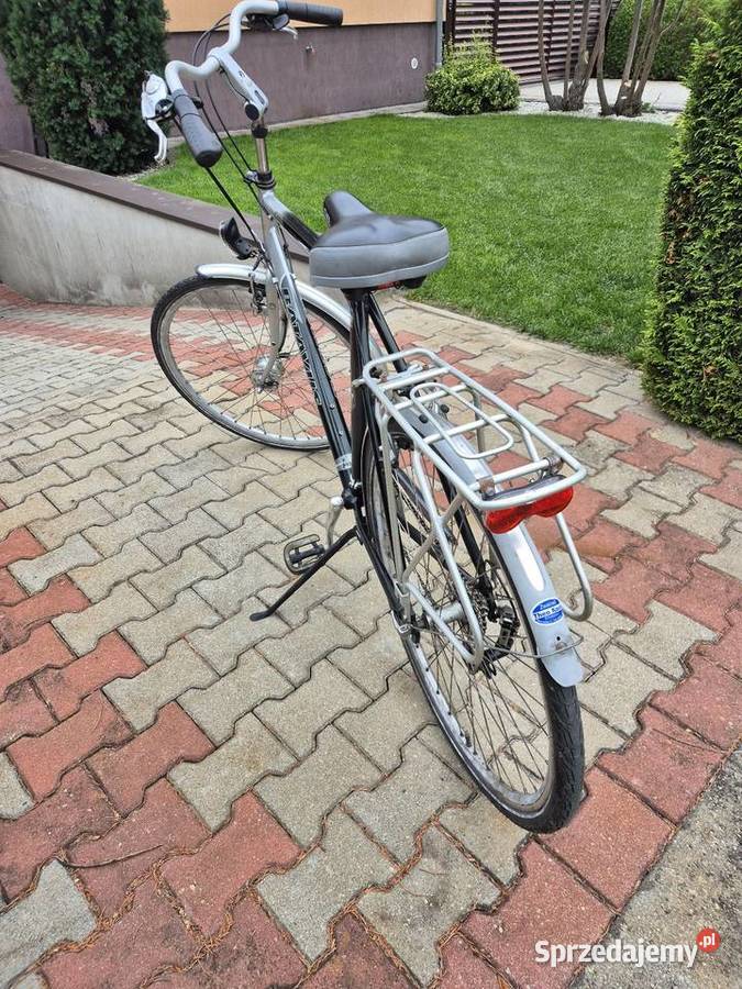 Rower męski batavus wielkopolskie Żodyń