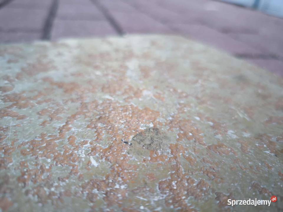 Płytki Wapień Lime Yellow bębnowany i pomorskie Gdynia sprzedam