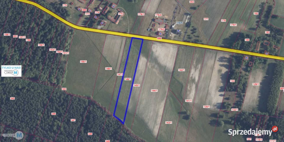 Działka 8000m2 Kluczewsko